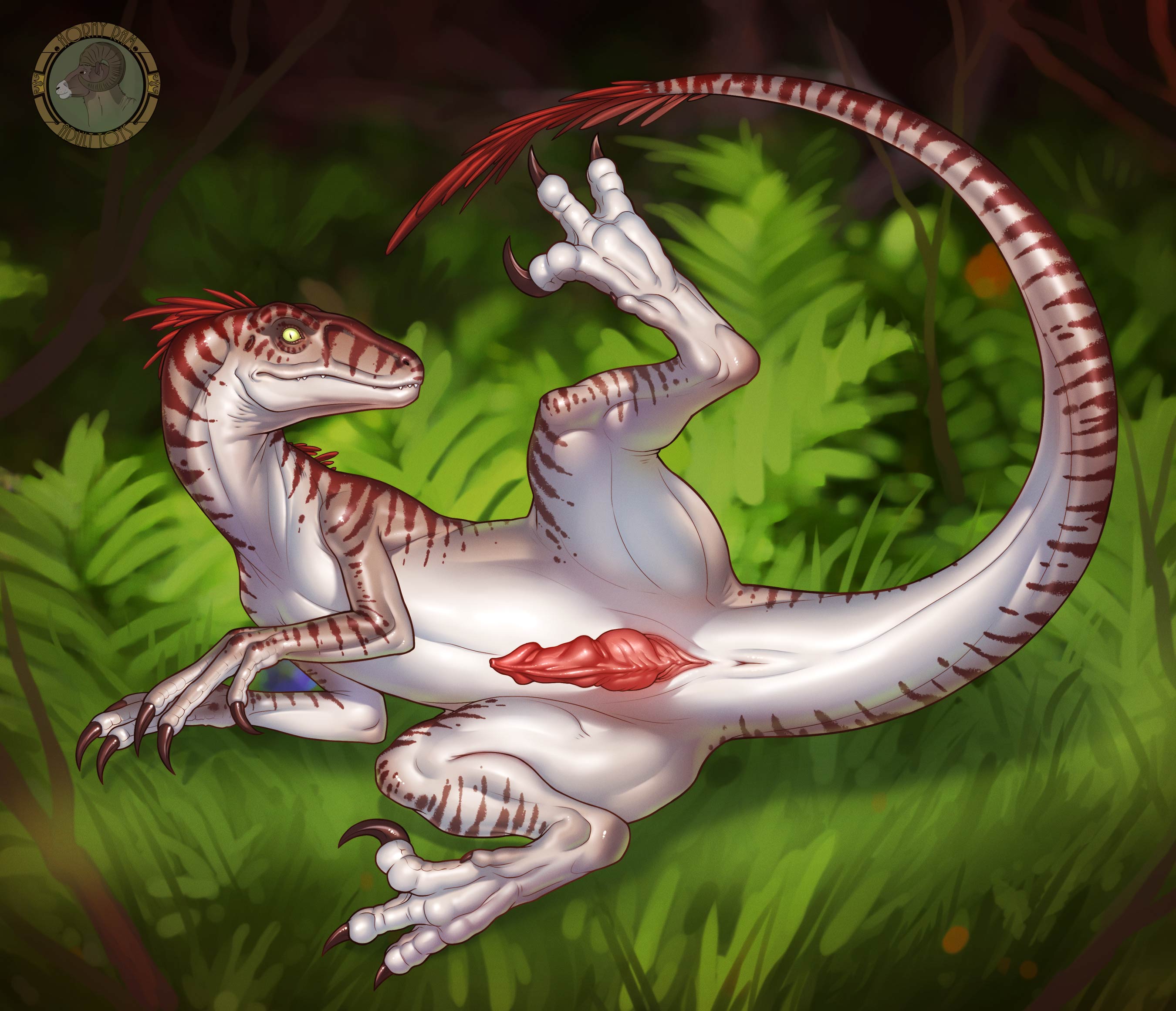 A velociraptor laying on the grass with his tail and leg raised up to show the viewer an erection.